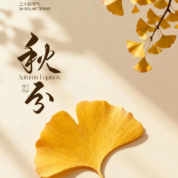 秋分｜木葉落 秋分至 愿君歲歲常安康！